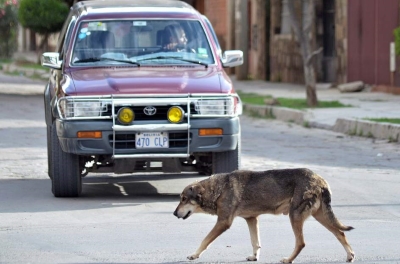 C&oacute;mo actuar tras un accidente