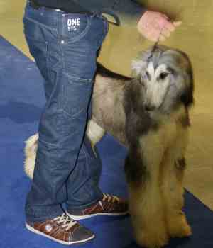 La ansiedad por separaci&oacute;n